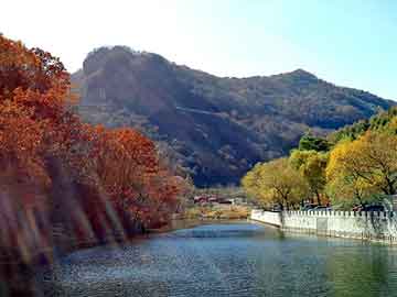 澳门天天彩期期精准平肖，钢塑土工格栅价格